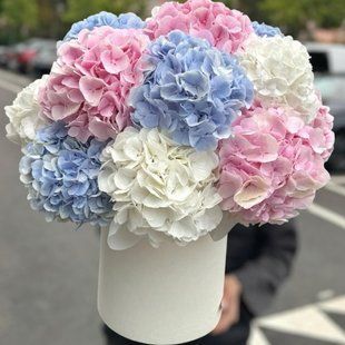 "Watercolor Dreams" &mdash; 15 hydrangeas in box