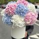 "Watercolor Dreams" &mdash; 15 hydrangeas in box
