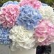 "Watercolor Dreams" &mdash; 15 hydrangeas in box