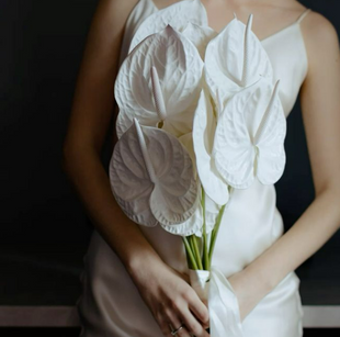 Bridal bouquet of white anthuriums