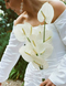 Bridal bouquet of white anthuriums