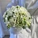 "White Tenderness" &mdash; flower box with 39 freesias