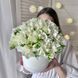 "White Tenderness" &mdash; flower box with 39 freesias